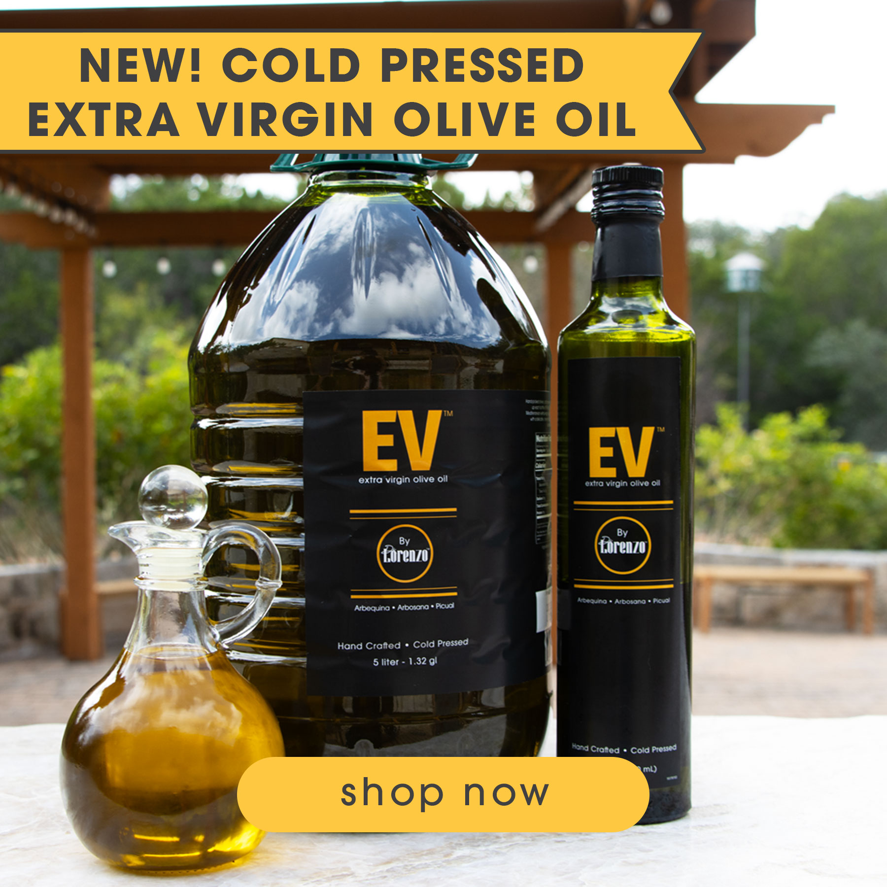 NEW! Cold-Pressed Extra Virgin Olive OIl from Chile | Food Related | San Antonio TX